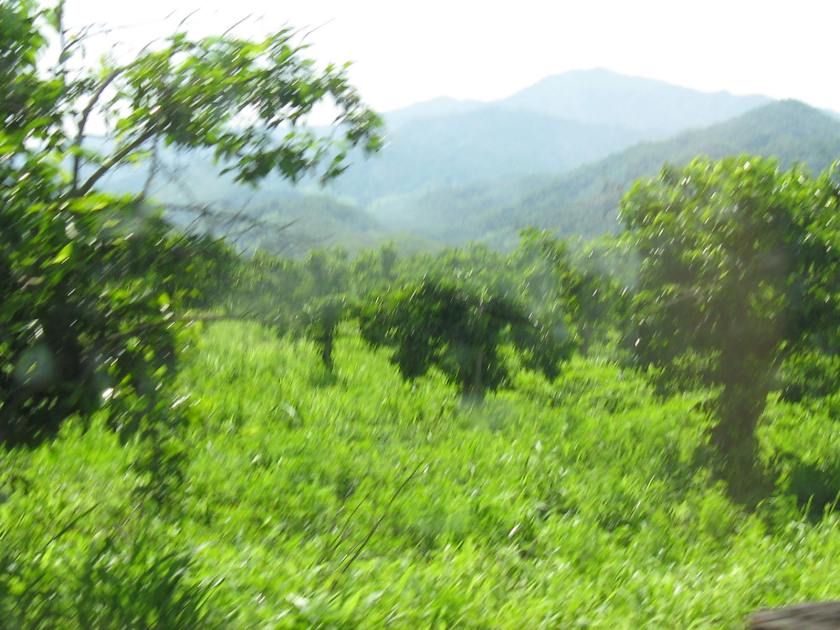 03Seeing the Wonders